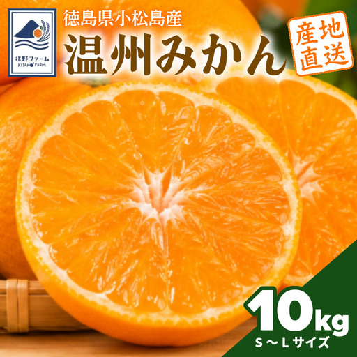 [2026年10月下旬順次発送] みかん 10kg 温州みかん S~Lサイズ 小松島市 ミカン