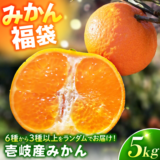 [先行予約]壱岐産みかん 5kg [JHE001] ミカン フルーツ