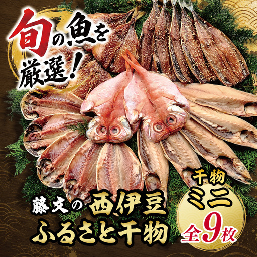 藤文の「西伊豆ふるさと干物ミニ」