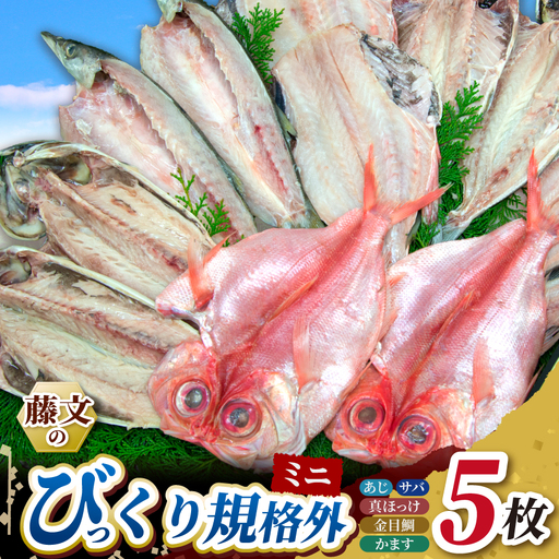 藤文の「びっくり規格外ミニ」鯵 真ほっけ 金目鯛 鯖 干物