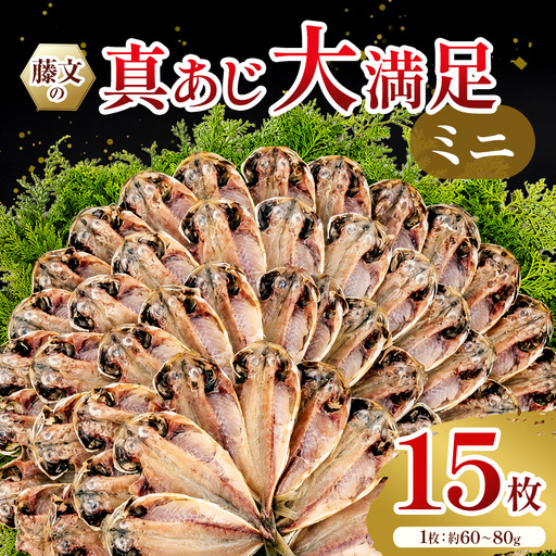 藤文の「真あじ大満足 ミニ」