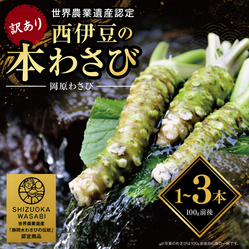 [世界農業遺産認定]訳あり 西伊豆町の本わさび(岡原わさび)1〜3本[12月・1月除く]
