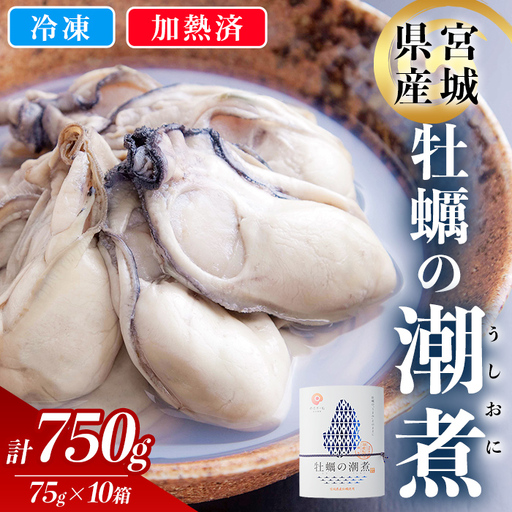 ＜農林水産大臣賞受賞！＞かきの潮煮 冷凍 約750g 宮城県産 牡蛎 牡蠣 オイスター むき身 潮煮 おつまみ 小分け パウチ 海鮮 国産 魚貝類  【末永海産株式会社】tm719