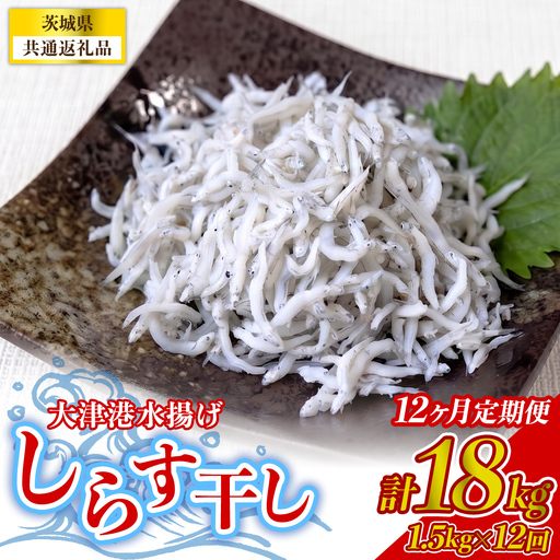 【12回定期便】大津港水揚げしらす干し 1.5kg(250g×2パック×3箱) (茨城県共通返礼品:北茨城市)  [BC019]