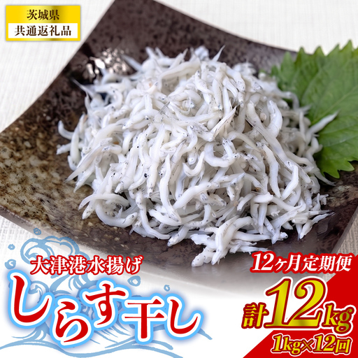 【12回定期便】大津港水揚げしらす干し 1kg(250g×2パック×2箱) (茨城県共通返礼品:北茨城市) [BC016]