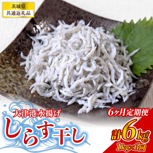 【6回定期便】大津港水揚げしらす干し 1kg(250g×2パック×2箱) (茨城県共通返礼品:北茨城市)  [BC015]
