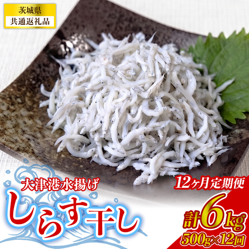 【12回定期便】大津港水揚げしらす干し 500g(250g×2パック) (茨城県共通返礼品:北茨城市) [BC013]