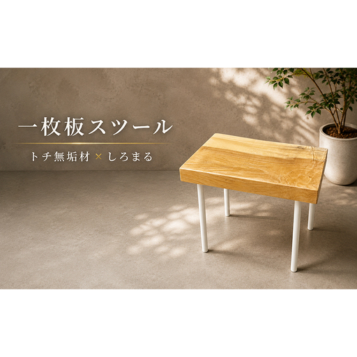[福岡市]一枚板 スツール トチ×しろまる