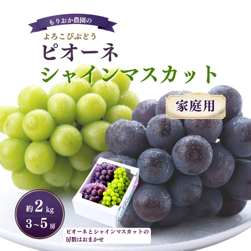 【家庭用】 もりおか農園のよろこびぶどう ピオーネ＆シャインマスカット 約2kg 3～5房 【先行予約 2026年10月上旬から順次発送】