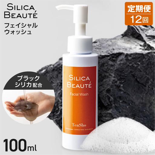 【12ヶ月定期便】シリカボーテ　フェイシャルウォッシュ100ｍL | 洗顔料 スキンケア 美容 北海道 札幌市