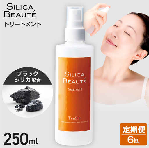 [6ヶ月定期便]シリカボーテ トリートメント250mL | 化粧水 保湿 スキンケア 美容 北海道 札幌市