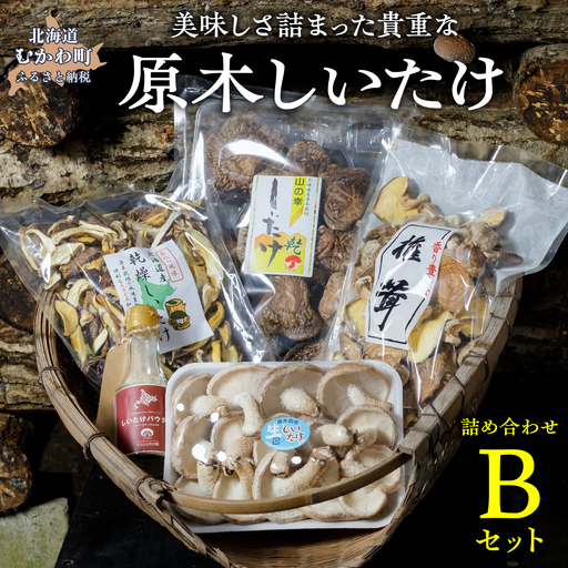 美味しさ詰まった貴重な原木しいたけ詰め合わせ　Bセット MKWN002