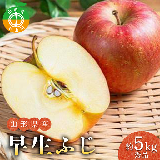 山形県産早生ふじ 秀品 約5kg 玉数おまかせ 林檎 リンゴ サンふじ ふじ 果物 くだもの フルーツ 中山町