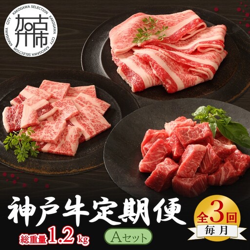 神戸牛定期便 A [全3回][2505A16917]