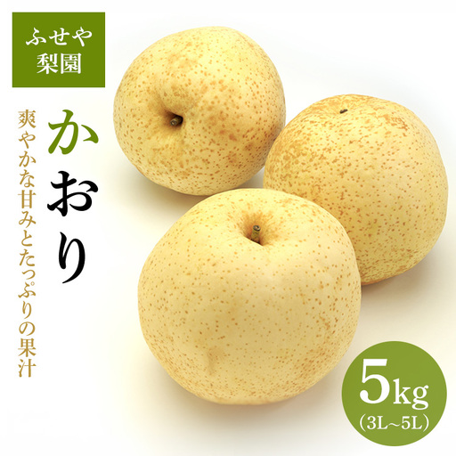 かおり 5kg [ふせや梨園]| 農家直送 梨 ※2026年8月〜発送