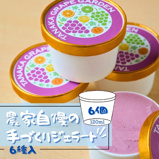 フルーツのジェラート6種セット 各120ml 6個