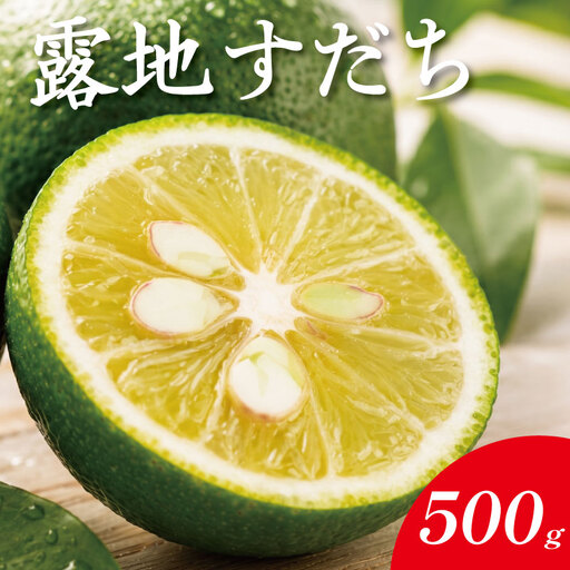 露地すだち 500g すだち [8月中旬から9月末発送] 徳島県産