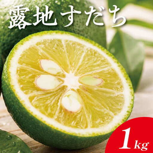 露地すだち 1kg すだち 【8月中旬から9月末発送】 徳島県産