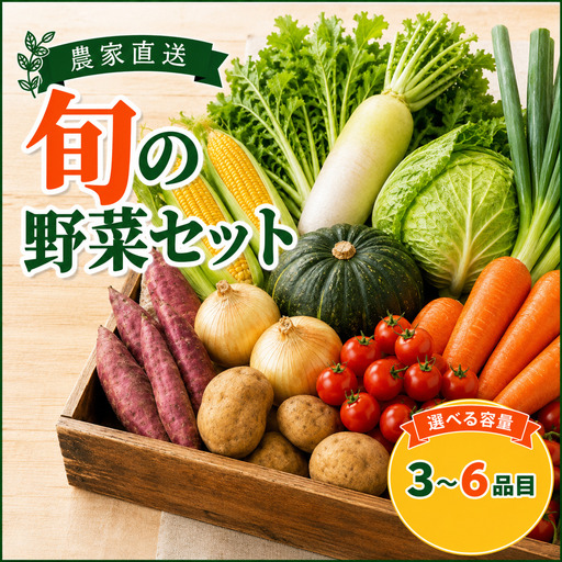 野菜セット 旬野菜 3〜6品目