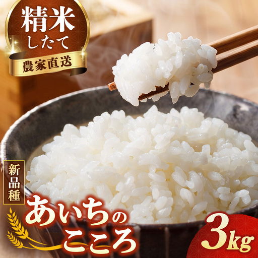 [先行予約]新米 令和8年産 あいちのこころ 3kg