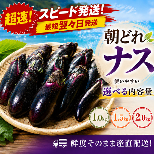 スピード発送[今が旬☆新鮮!朝どれナスをドドンと1kg ‼]期間限定 朝採れ 産地直送 おひさま農園 高知県 室戸市