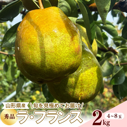 [ふるさと納税]令和8年産 西洋梨 ラ・フランス 秀品 2kg 山形県産[2026年10月下旬頃から12月中旬頃発送予定]