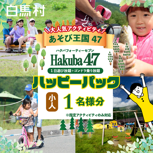 [体験チケット]Hakuba47 ハッピーパック(ゴンドラ往復+アクティビティ セット券) 小人1名様 / 長野県白馬村