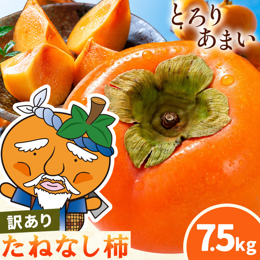 訳あり たねなし柿 7.5kg