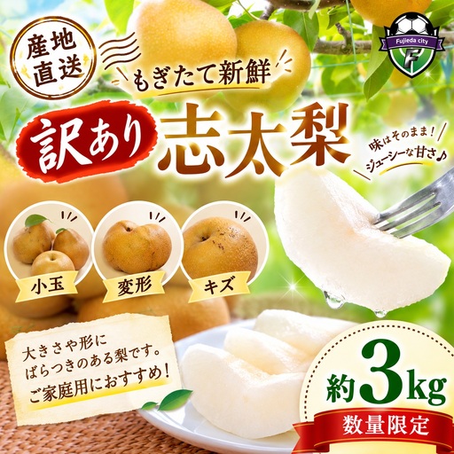 [2026年8月以降出荷]訳あり 志太 梨 3kg 小玉 変形 キズあり ご家庭用 静岡県 藤枝市 梨 梨