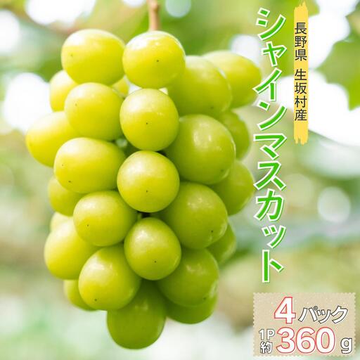 シャインマスカット 4パック(360g×4パック)| シャインマスカット