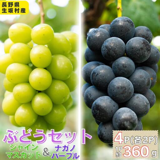 シャインマスカット&ナガノパープル 4パック(360g×4パック)| シャインマスカット