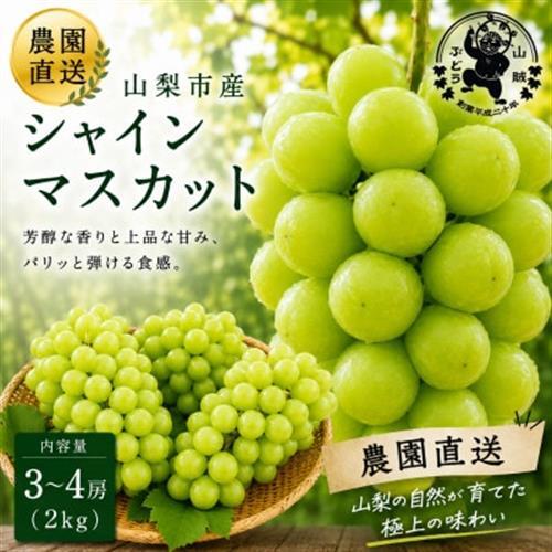 【2027年発送先行受付】山賊ぶどう シャインマスカット 3～4房(約2キロ)【配送不可地域：離島】【1761372】