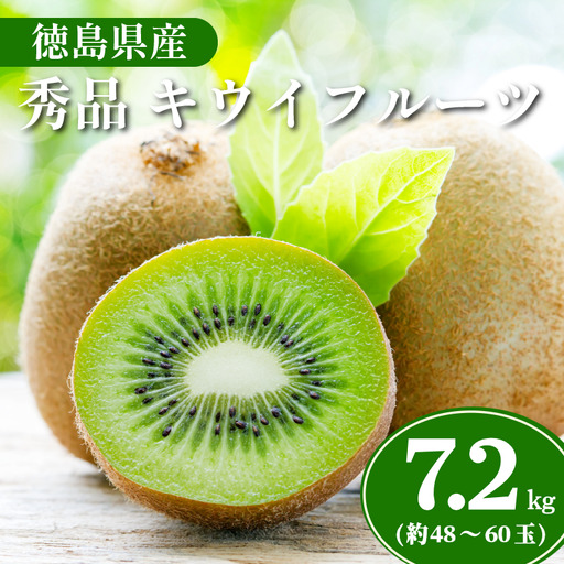 キウイ 秀品 7.2kg 約48〜60玉