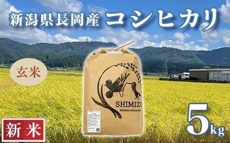 N5-8G051新潟県長岡産コシヒカリ玄米5kg