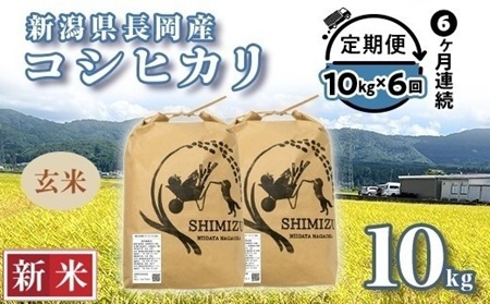 N5-8G106【6ヶ月連続お届け】新潟県長岡産コシヒカリ玄米10kg