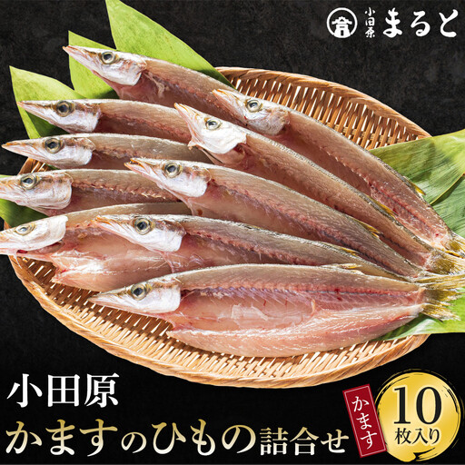 小田原かますのひもの詰合せ 10枚　SK-10