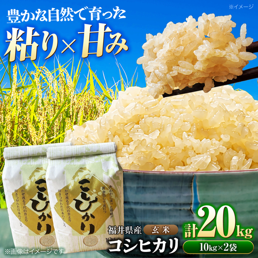 [先行予約/9月中旬以降発送]福井県産 コシヒカリ 玄米 10kg×2 (20kg)[BFDG008]