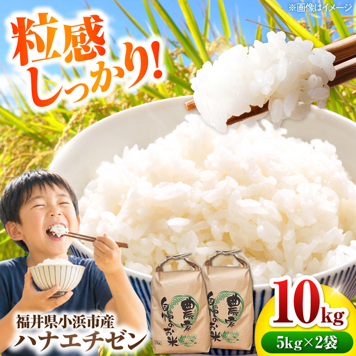 [先行予約/9月中旬以降発送][令和8年産]小浜のハナエチゼン 米 10kg(5kg×2袋)市左衛門米屋 / 小浜市 [BFEN002]