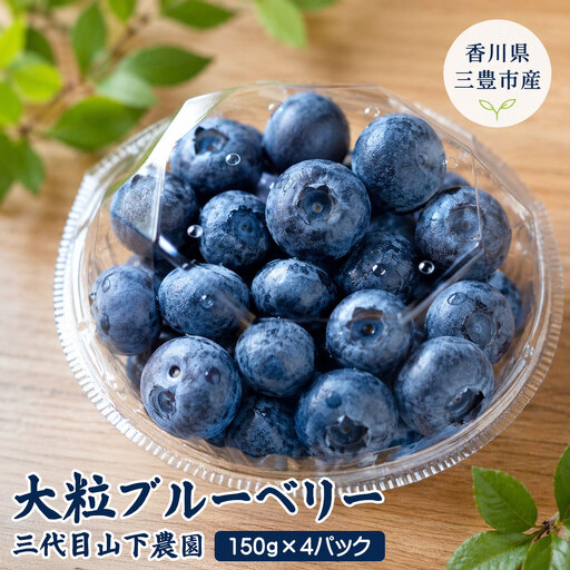 大粒 ブルーベリー 600g (150g×4パック)