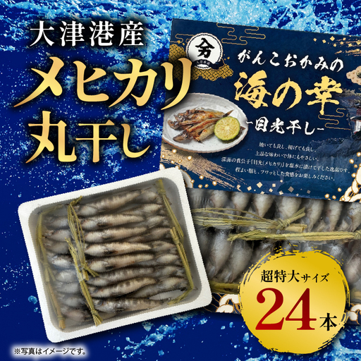 丸干し超特大めひかり 24本(約850g前後 )[めひかり メヒカリ 特大サイズ 魚 海産物 茨城県 北茨城市 冷凍]