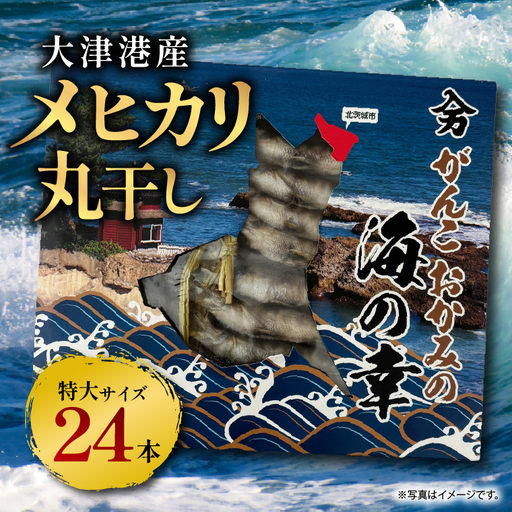 丸干し特大めひかり 24本(約650g前後 )[めひかり メヒカリ 特大 魚 海産物 茨城県 北茨城市 冷凍]