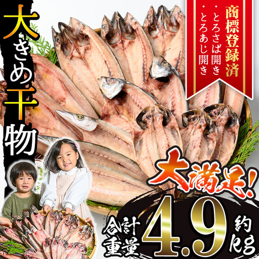 干物 あじ さば 詰め合わせ 約4.9kg 大きめ 干物 セット[みのだ食品] No.406-C