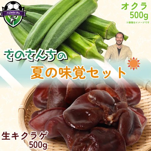 生キクラゲ500g オクラ500g セット 計1kg キクラゲ オクラ