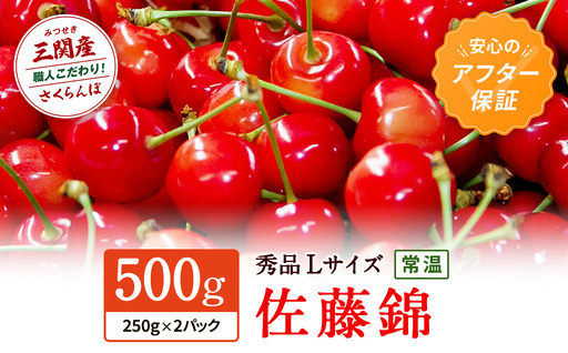 さくらんぼ 佐藤錦 500g 秀品L さくらんぼ [B3-15101]