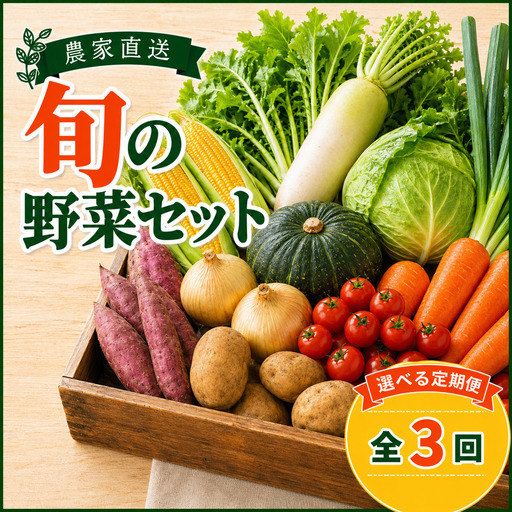 定期便 旬野菜セット 全3回 毎月