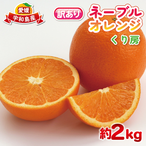 訳あり ネーブル オレンジ 約 2kg くり房 オレンジ