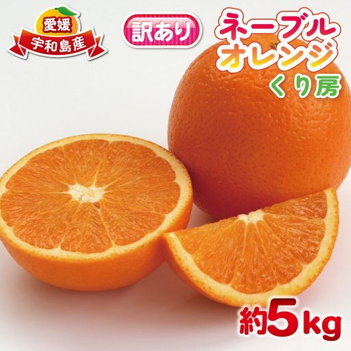 訳あり ネーブル オレンジ 約 5kg くり房 オレンジ B015-204009