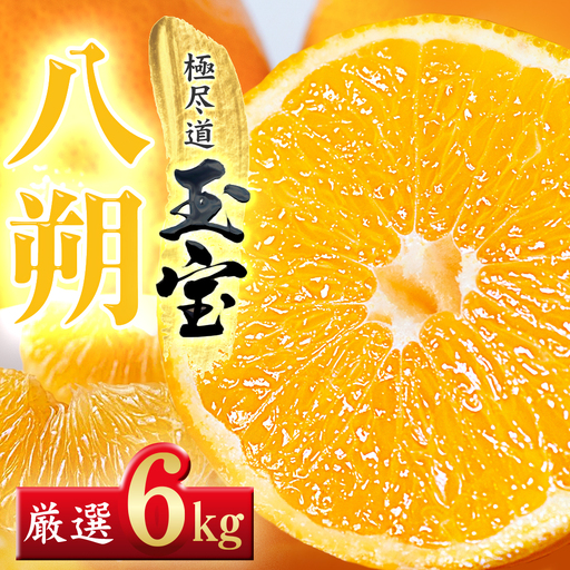 【先行受付】【凛とした苦み】クセになる旨み【八朔】6kg　愛媛県産【64-101】YWTY091