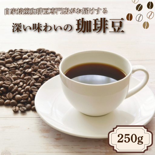 コーヒー豆 250g 季節の珈琲 コーヒー 豆 自家焙煎 ホットコーヒー アイスコーヒー 下関 山口
