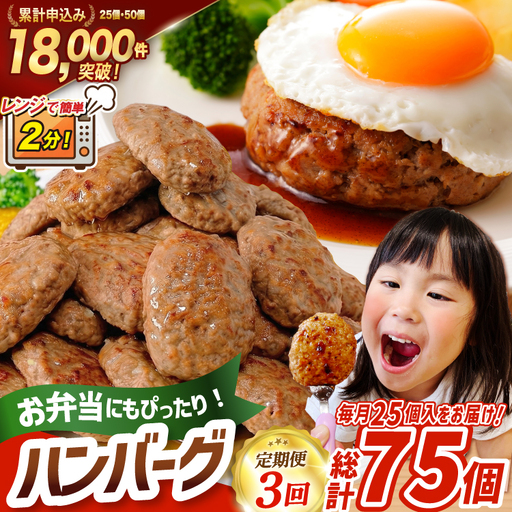 3回 定期便 レンジで簡単 ハンバーグ 60g 25個 総計 75個 総重量 4.5kg